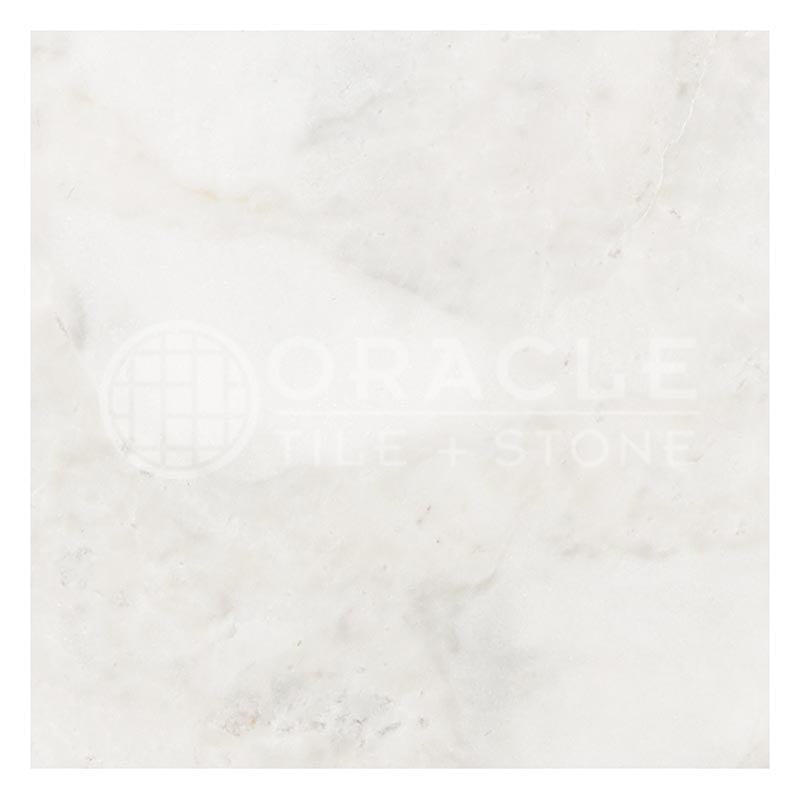 Bianco Congelato Dolomite - 24" X 24" Field Tile